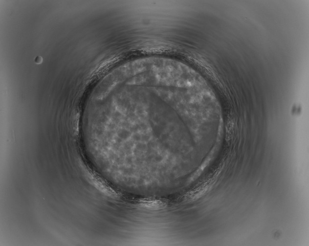 X0000095520454200801111440