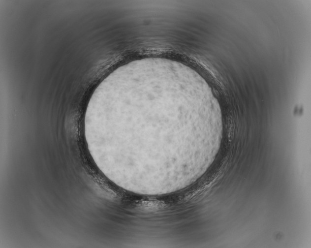 X0000095520455200801111440