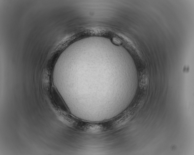 X0000095520456200801111440