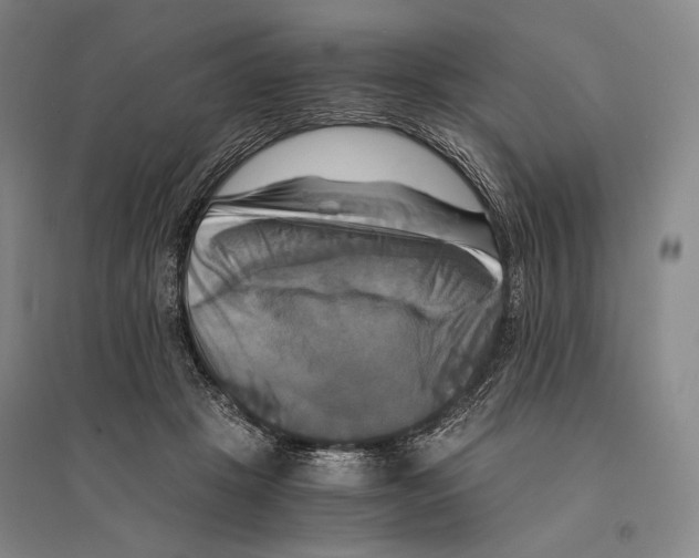 X0000095520457200801111440