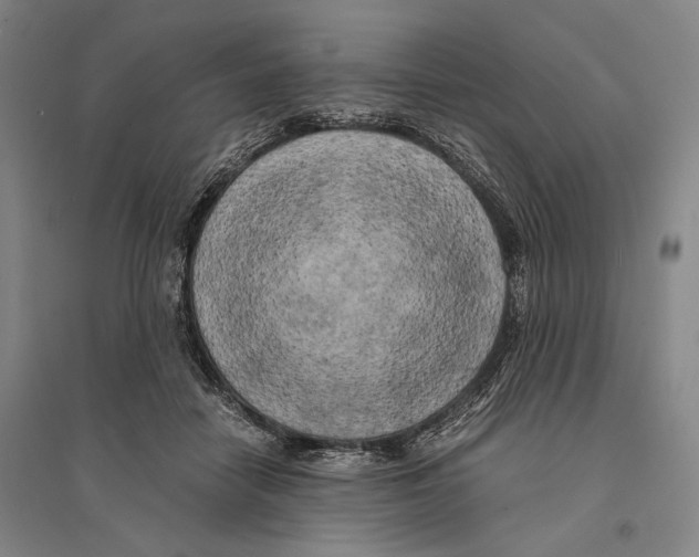 X0000095520458200801111440