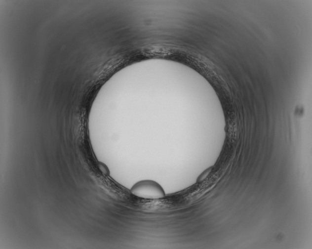 X0000095520460200801111440