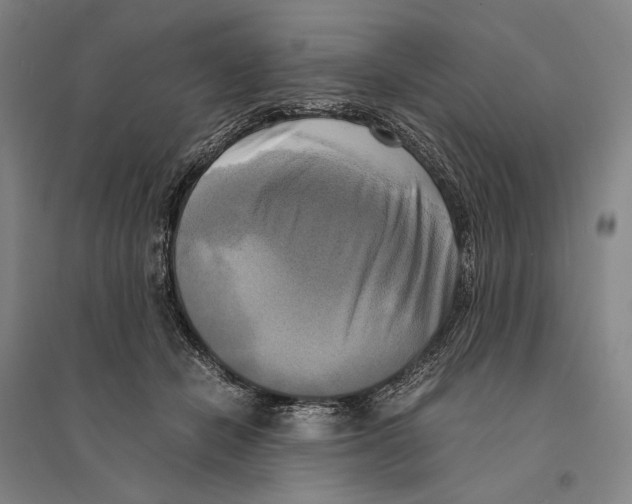 X0000095520462200801111440