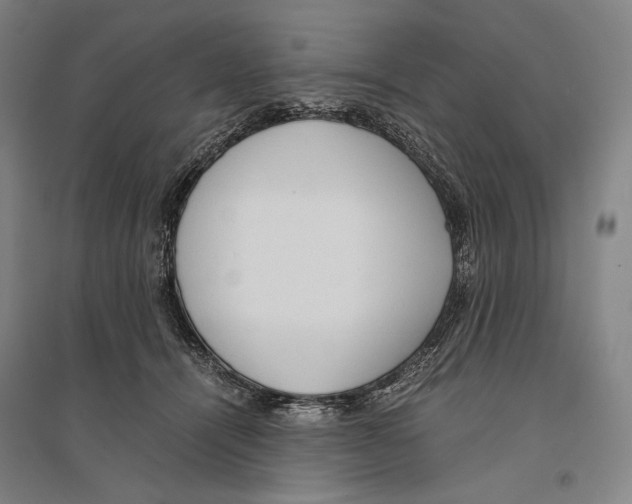 X0000095520464200801111440