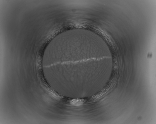 X0000095520465200801111440