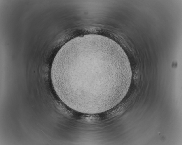 X0000095520466200801111440