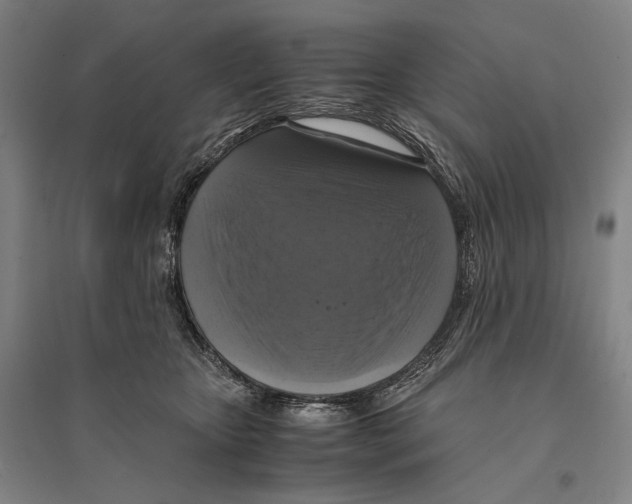 X0000095520467200801111440