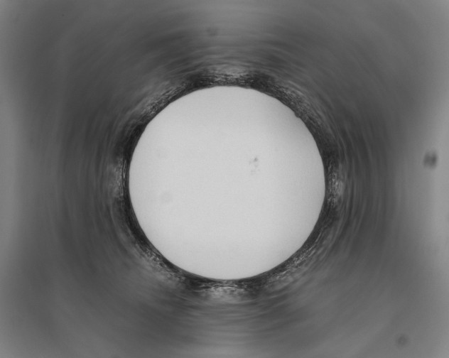 X0000095520468200801111440