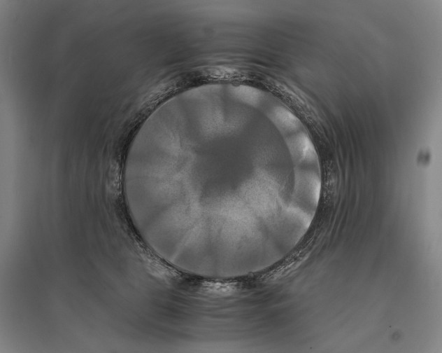 X0000095520469200801111440