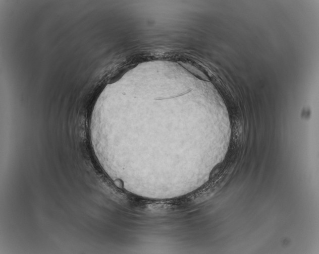 X0000095520470200801111440