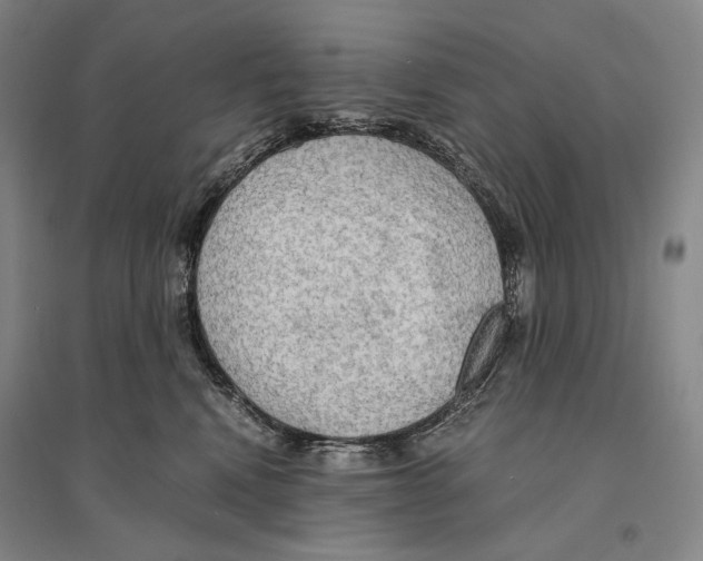 X0000095520472200801111440