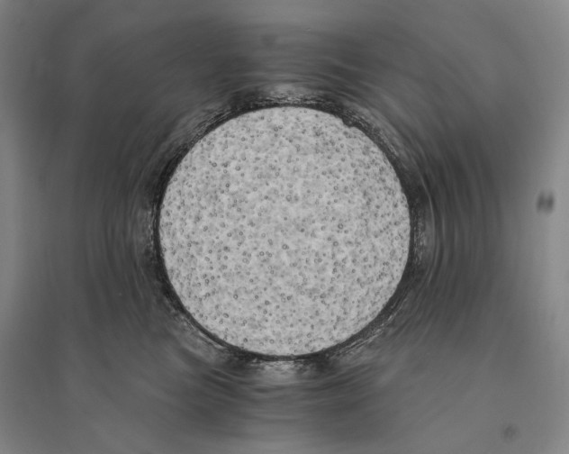 X0000095520473200801111440