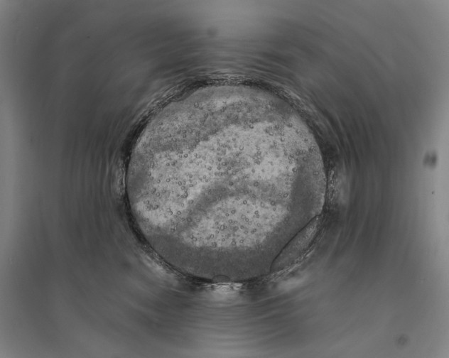 X0000095520474200801111440