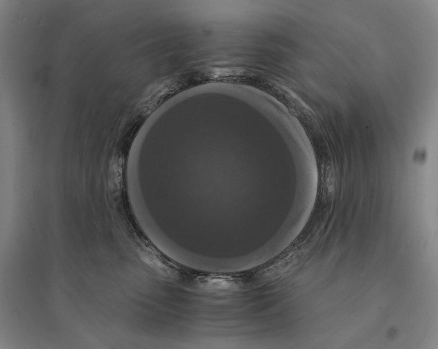 X0000095520475200801111440