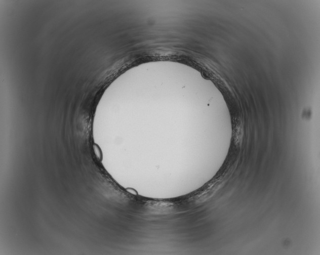 X0000095520476200801111440