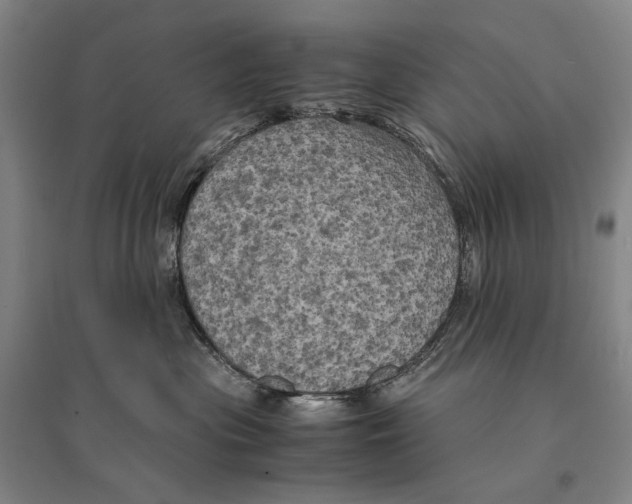 X0000095520477200801111440