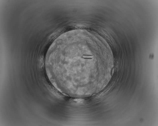 X0000095520478200801111440