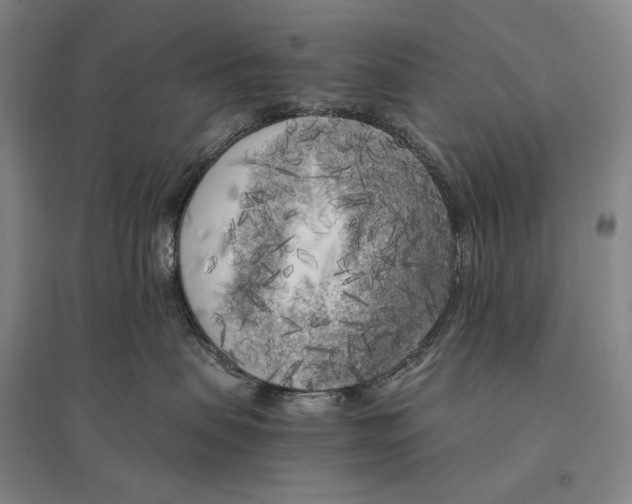 X0000095520479200801111440