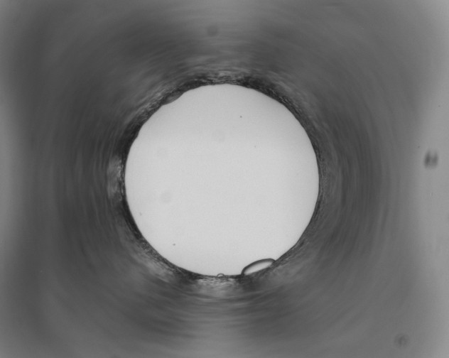 X0000095520480200801111440