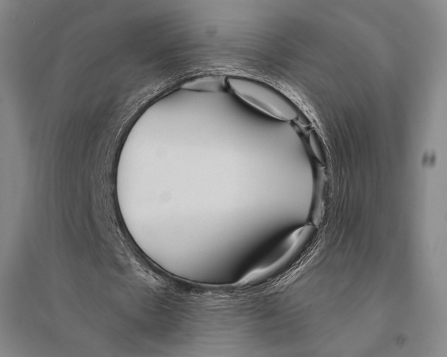 X0000095520481200801111440