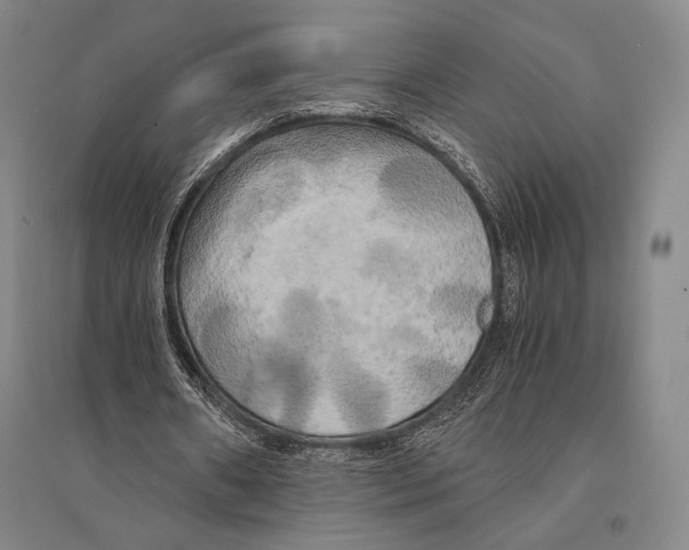 X0000095520482200801111440