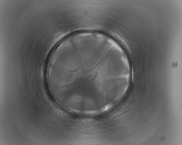 X0000095520483200801111440