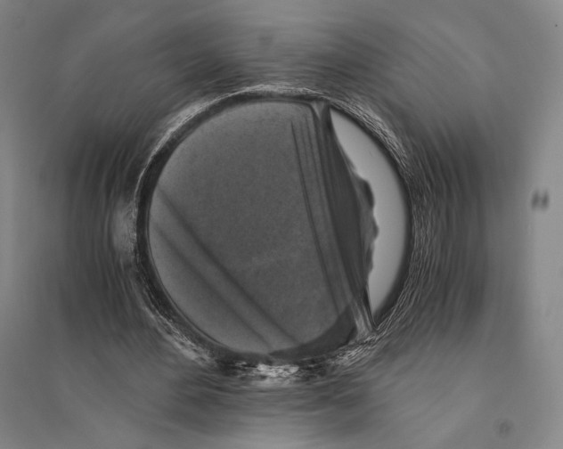 X0000095520484200801111440