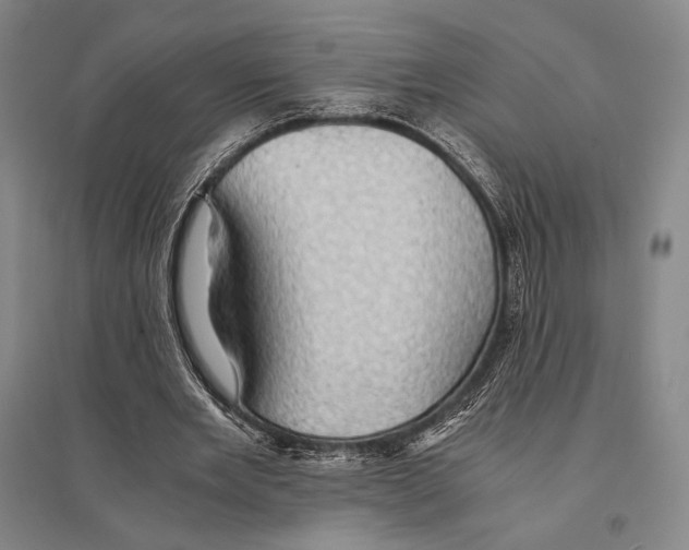 X0000095520485200801111440