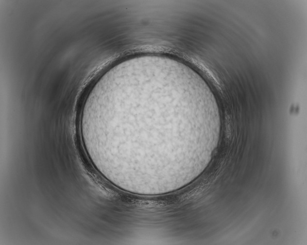 X0000095520486200801111440