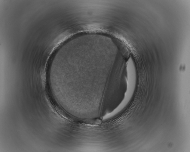 X0000095520488200801111440