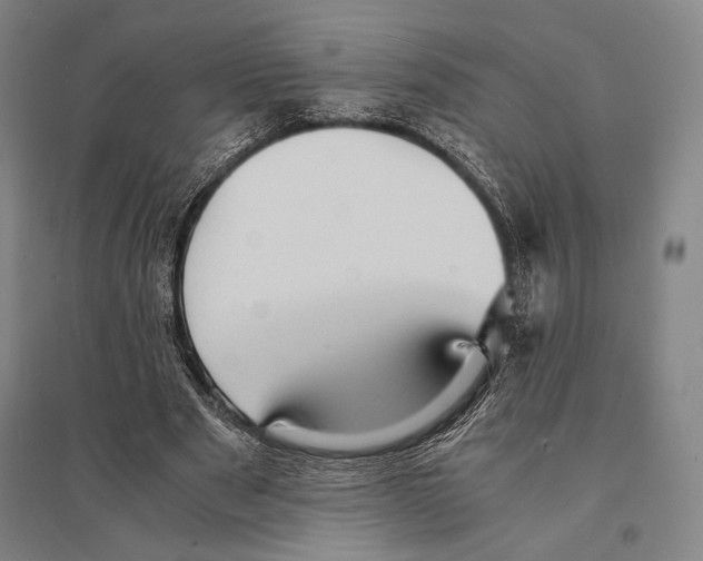 X0000095520489200801111440