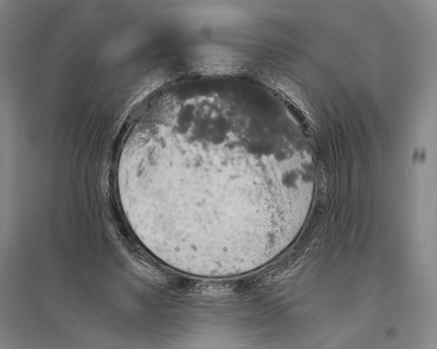 X0000095520491200801111439