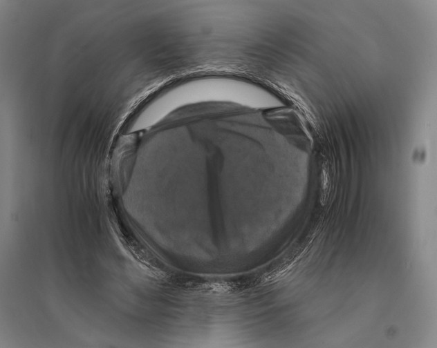 X0000095520492200801111439