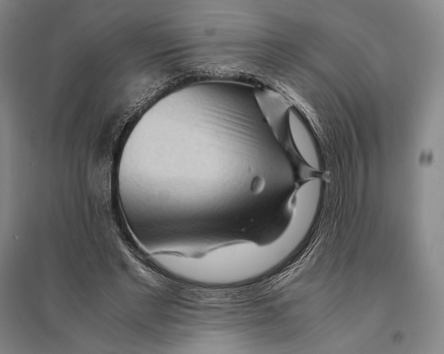 X0000095520493200801111439