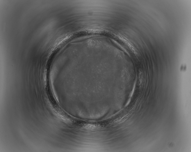 X0000095520494200801111439