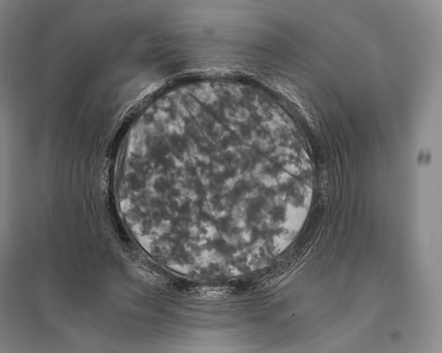 X0000095520495200801111439