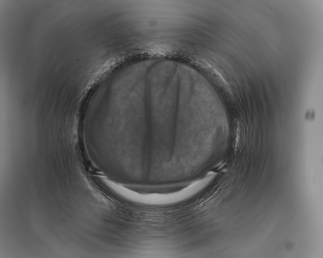 X0000095520496200801111439