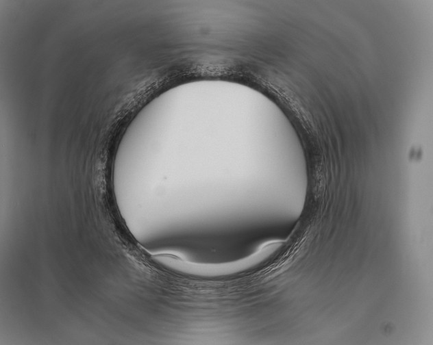 X0000095520497200801111439