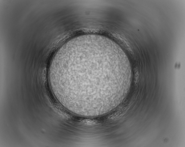 X0000095520498200801111439