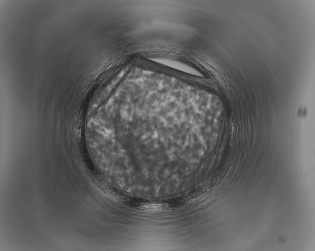 X0000095520499200801111439