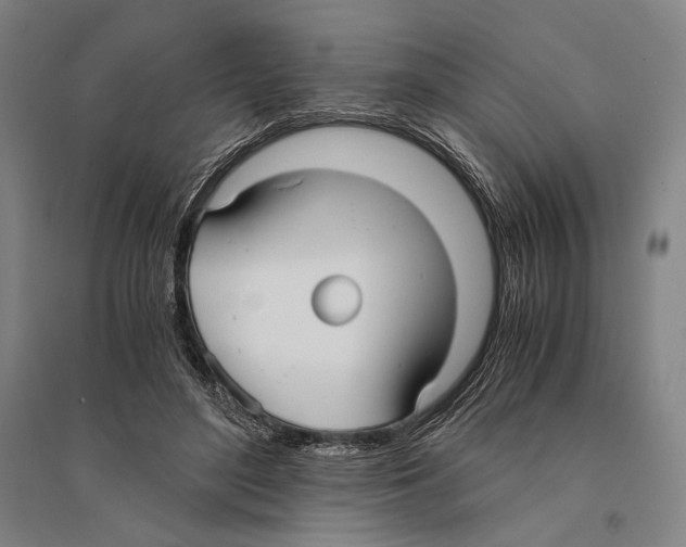 X0000095520500200801111439