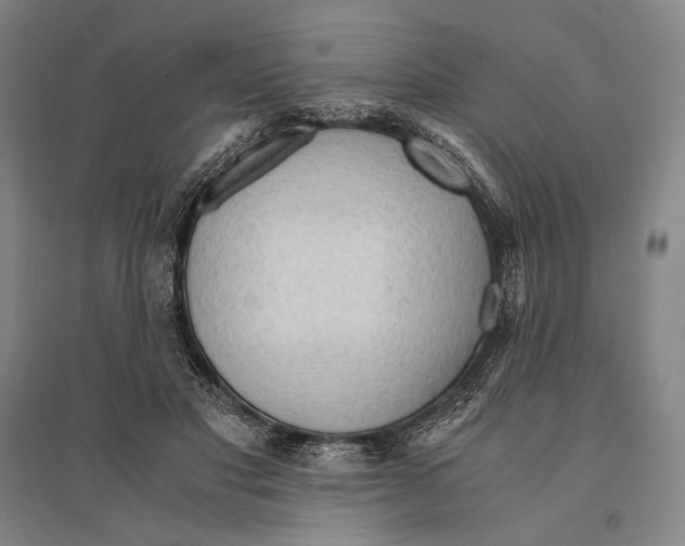 X0000095520501200801111439