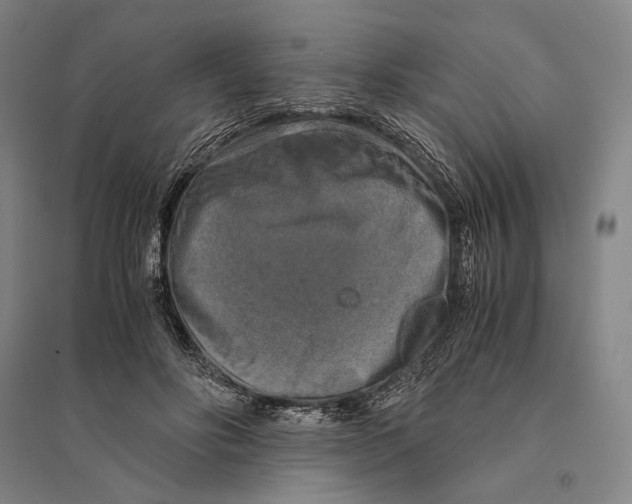 X0000095520502200801111439