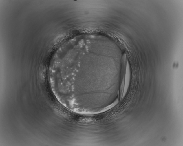 X0000095520503200801111439