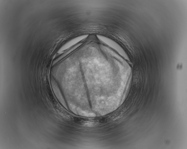 X0000095520504200801111439