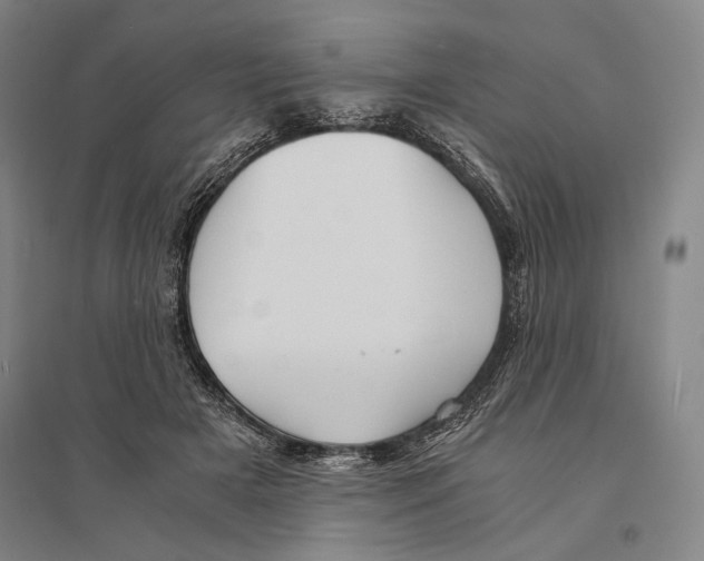 X0000095520505200801111439