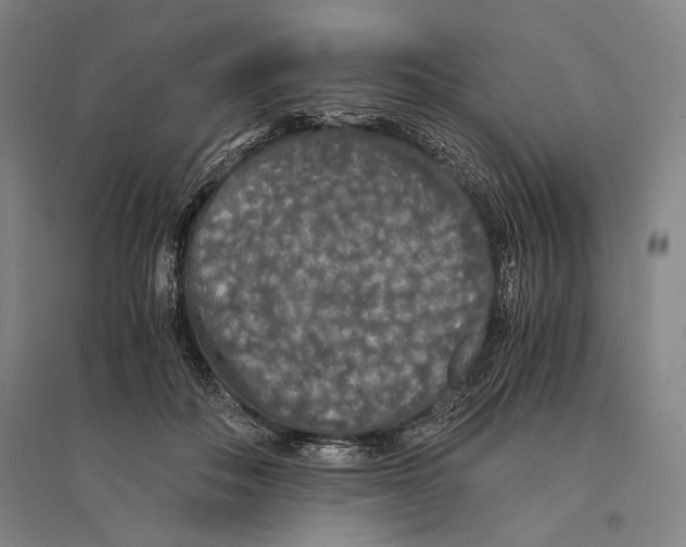 X0000095520506200801111439