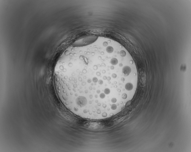 X0000095520507200801111439