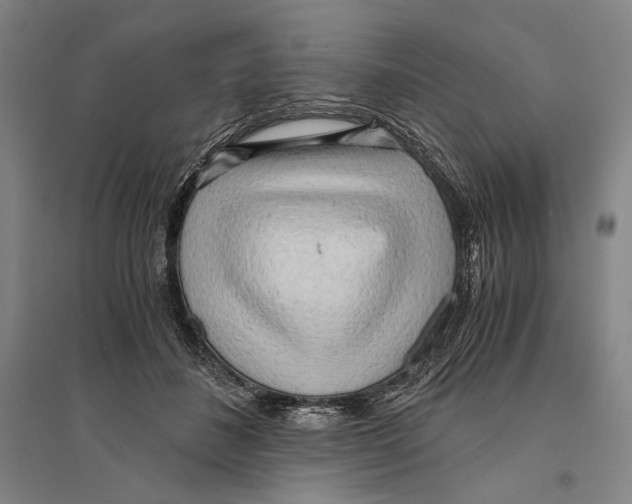 X0000095520508200801111439