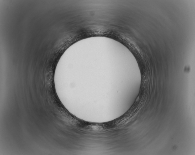 X0000095520509200801111439